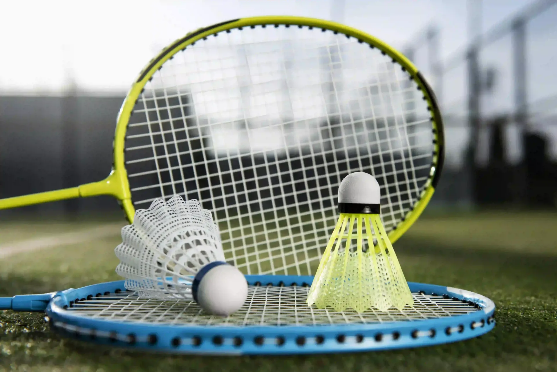 Erzurum Badminton Kursu