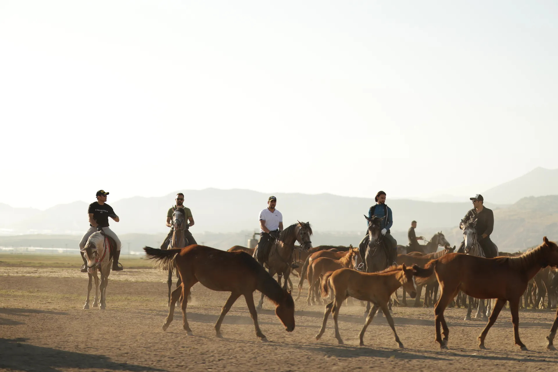 Kapadokya Yılkı Atları ile At Turu Safari 4Saat