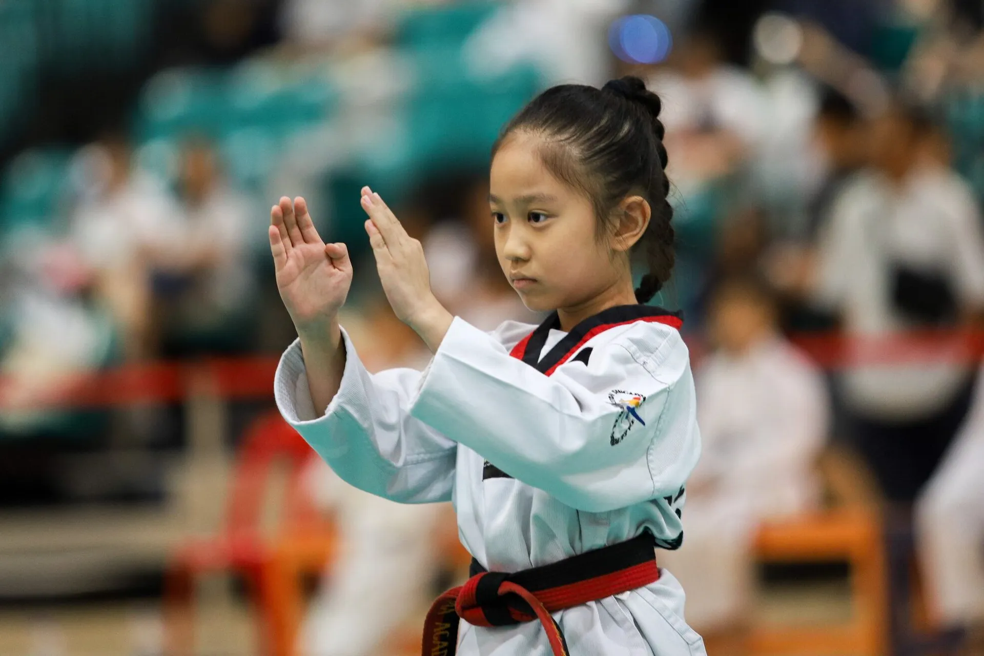 Şehzadeler Taekwondo Kursu (Manisa)