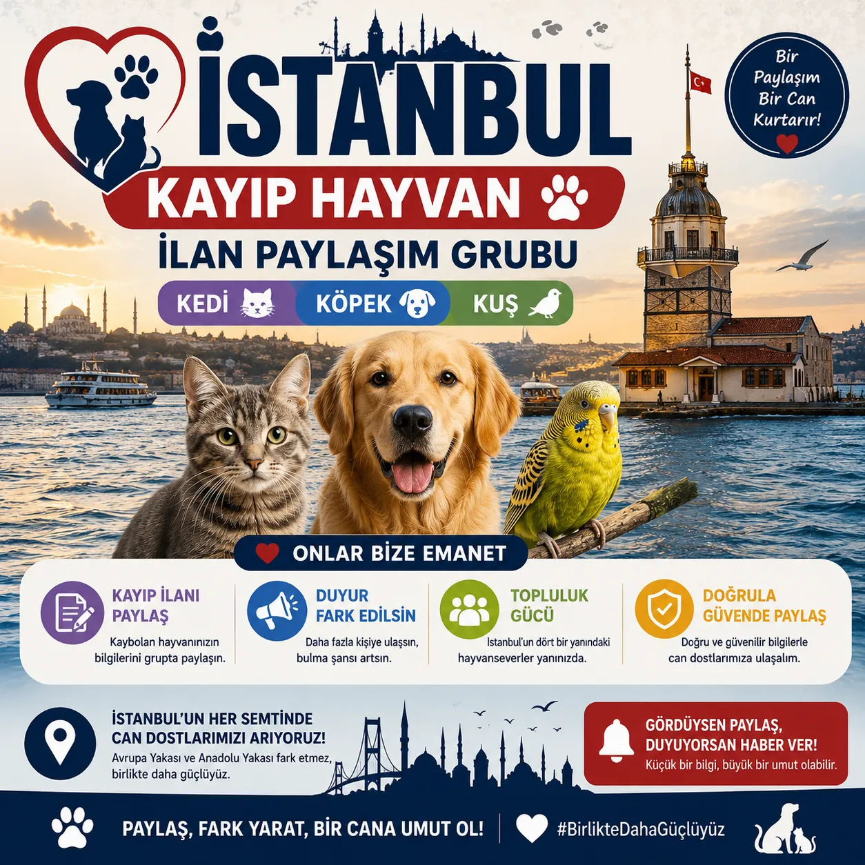 İstanbul Kayıp Hayvanlar İlan Grubu