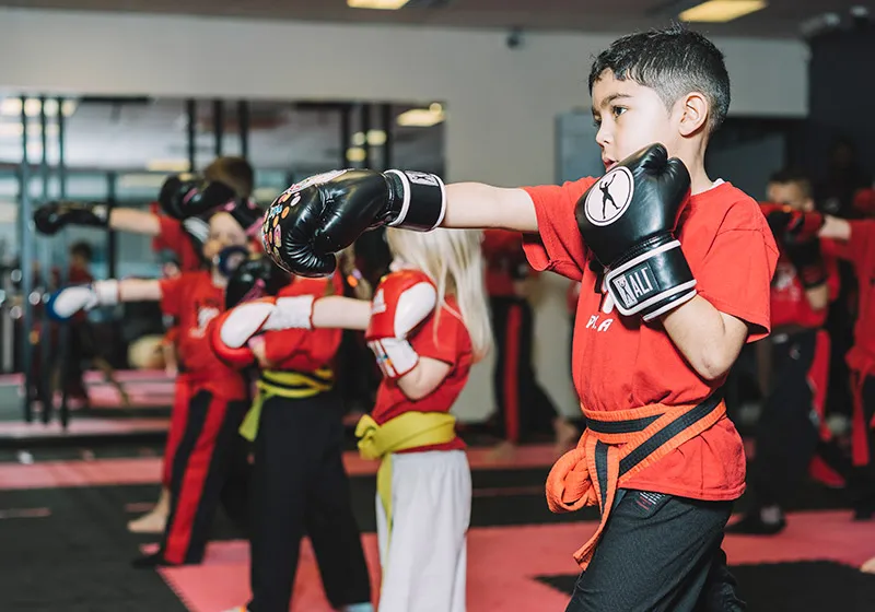 Mamak Kick Boks Kursu