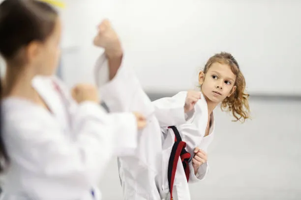 Artvin Taekwondo Kursu