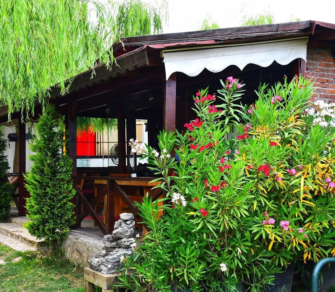 Kartepe At Pansiyonerliği 1 Ay