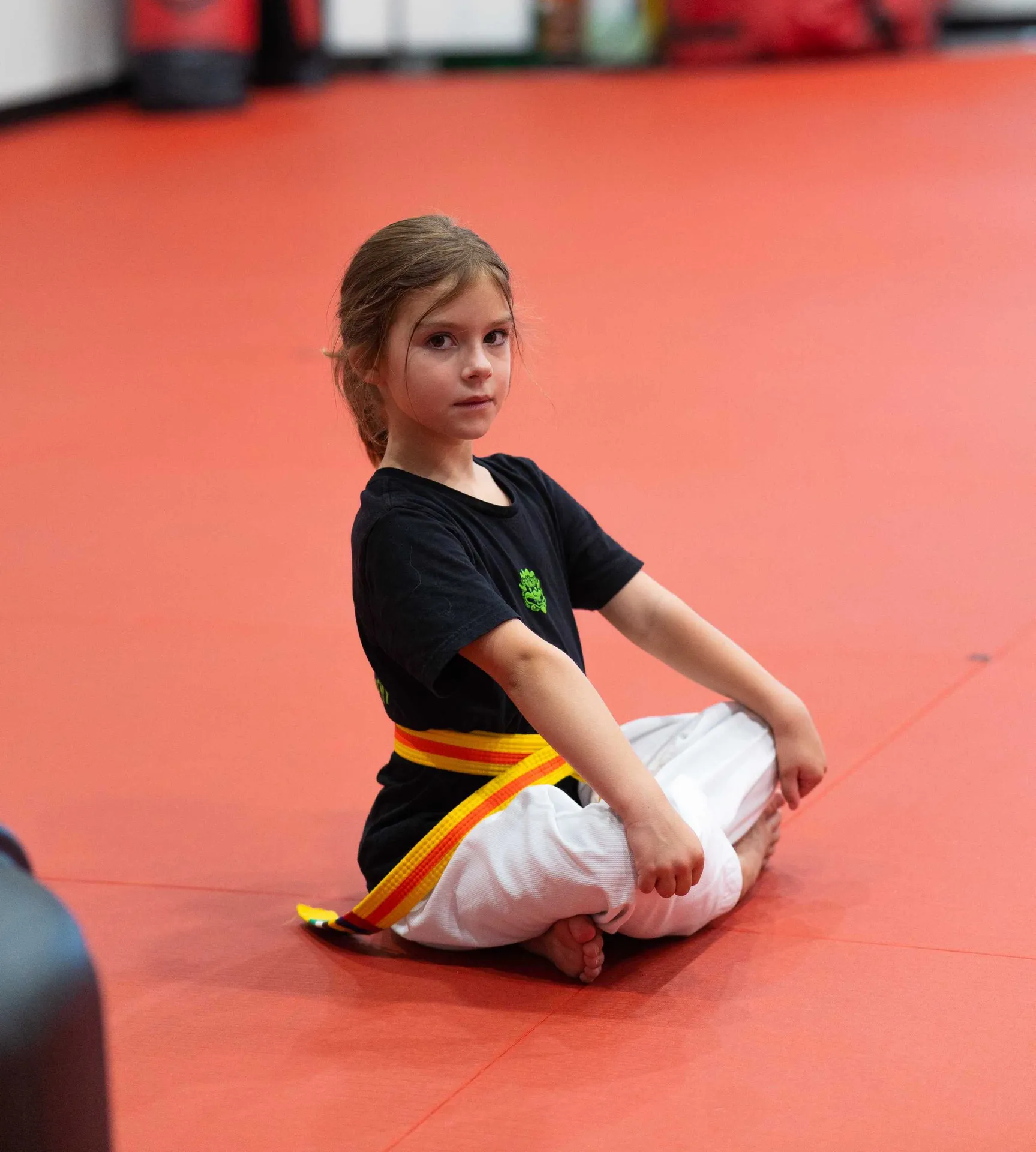 Eskişehir Taekwondo Kursu