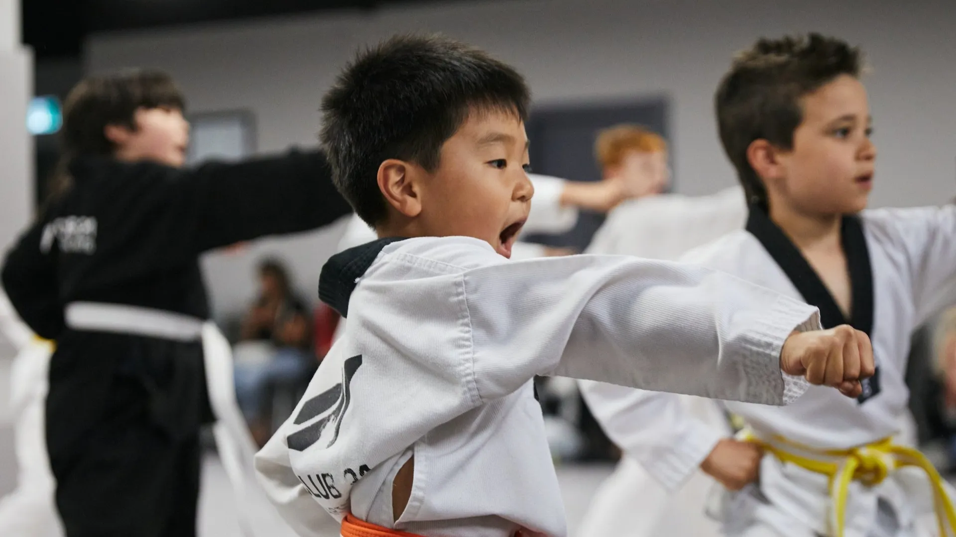 Nevşehir Taekwondo Kursu