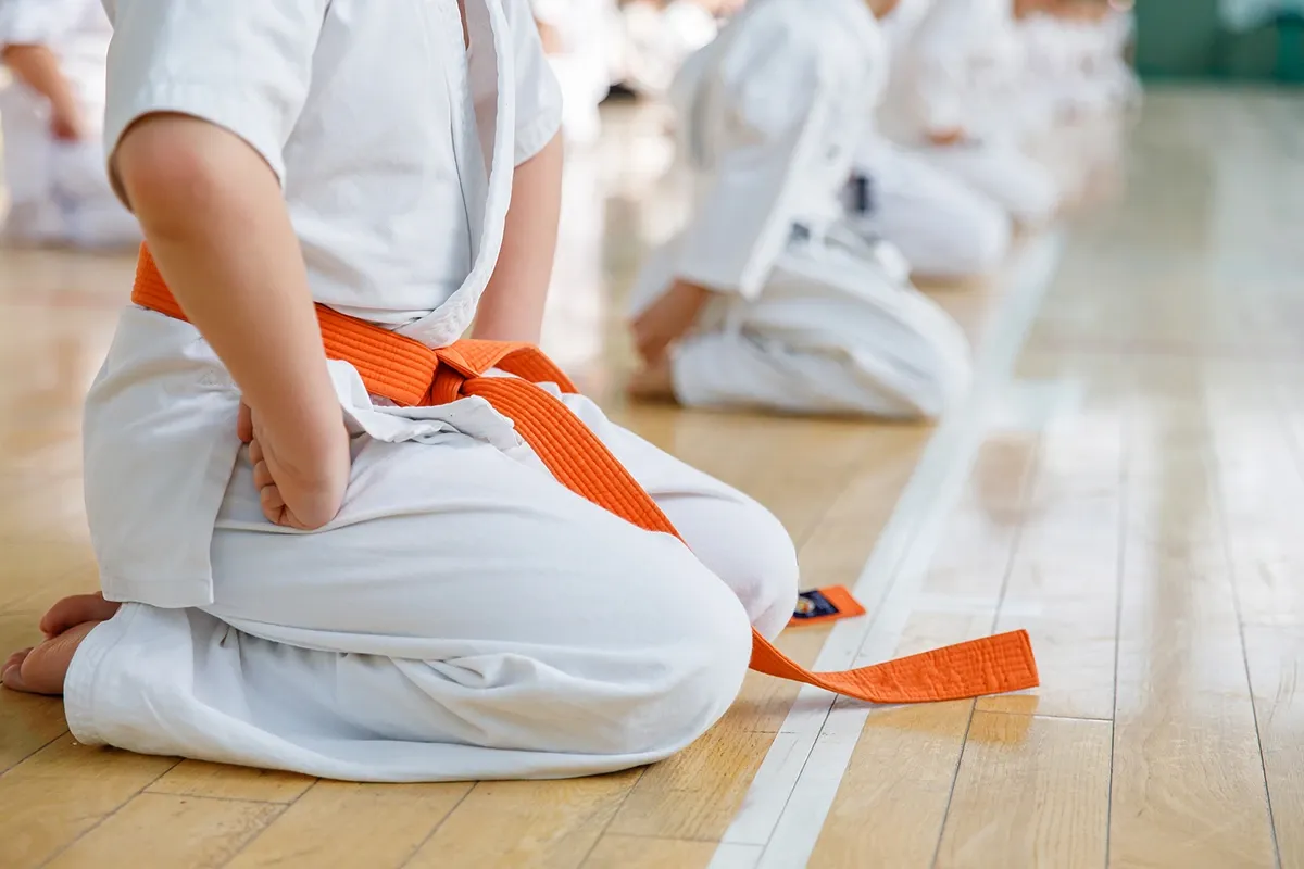 Adana Karate Kursu   (Grup Dersi)