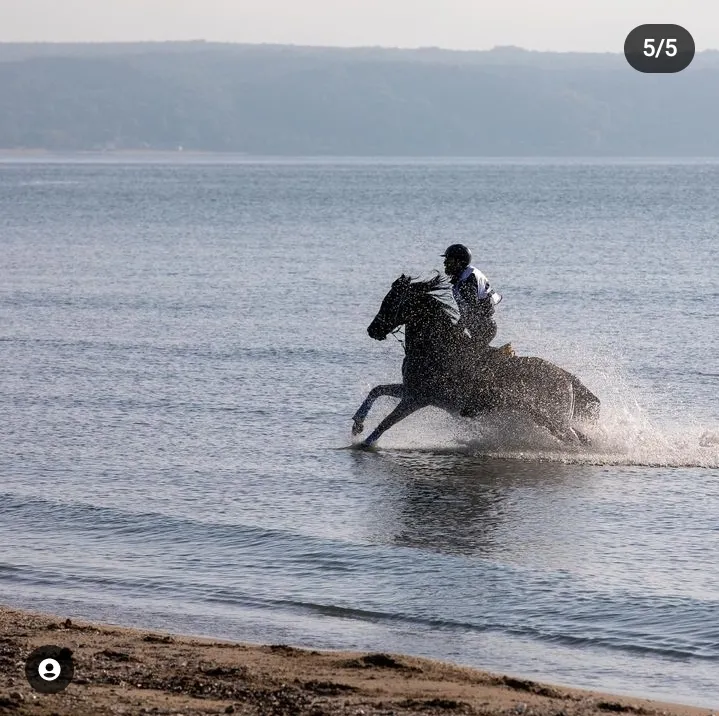 İğneada Longoz Istranca Ormanları At Turu (2Saat)