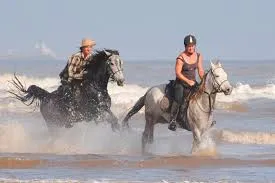 Morocco Horseback Riding Tours
