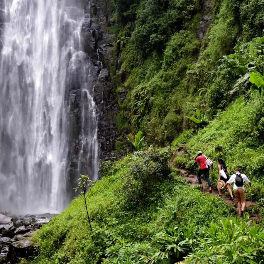 Tanzanya Trekking Turu