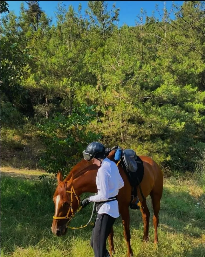 lycian way patara horse riding trail 3 days camping