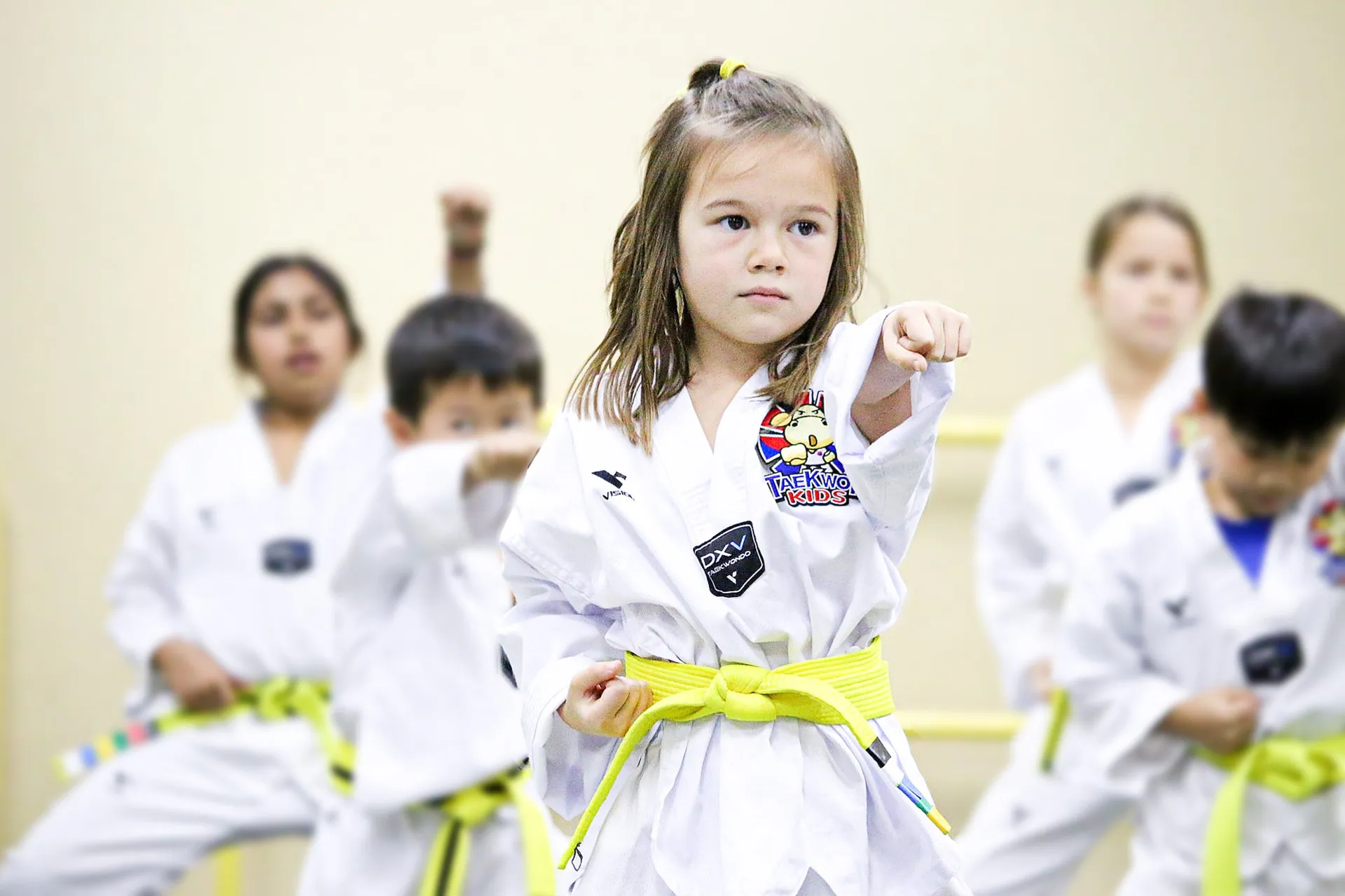 Tunceli Taekwondo Kursu