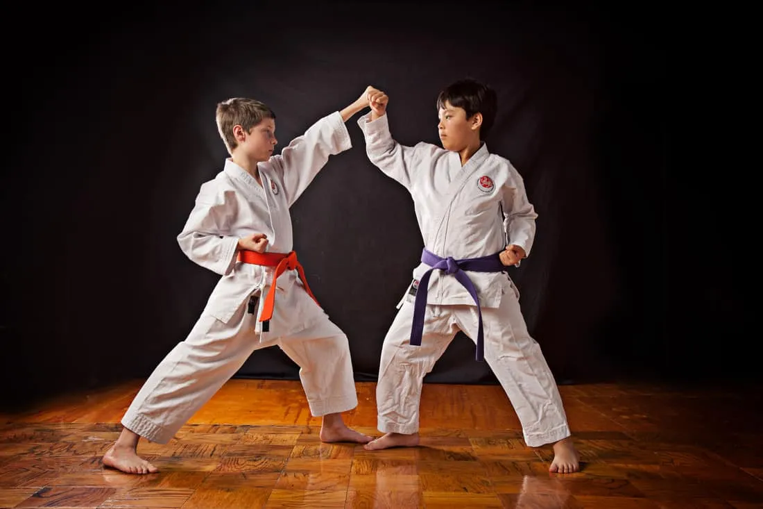 Ankara Karate Kursu  (Özel Ders)