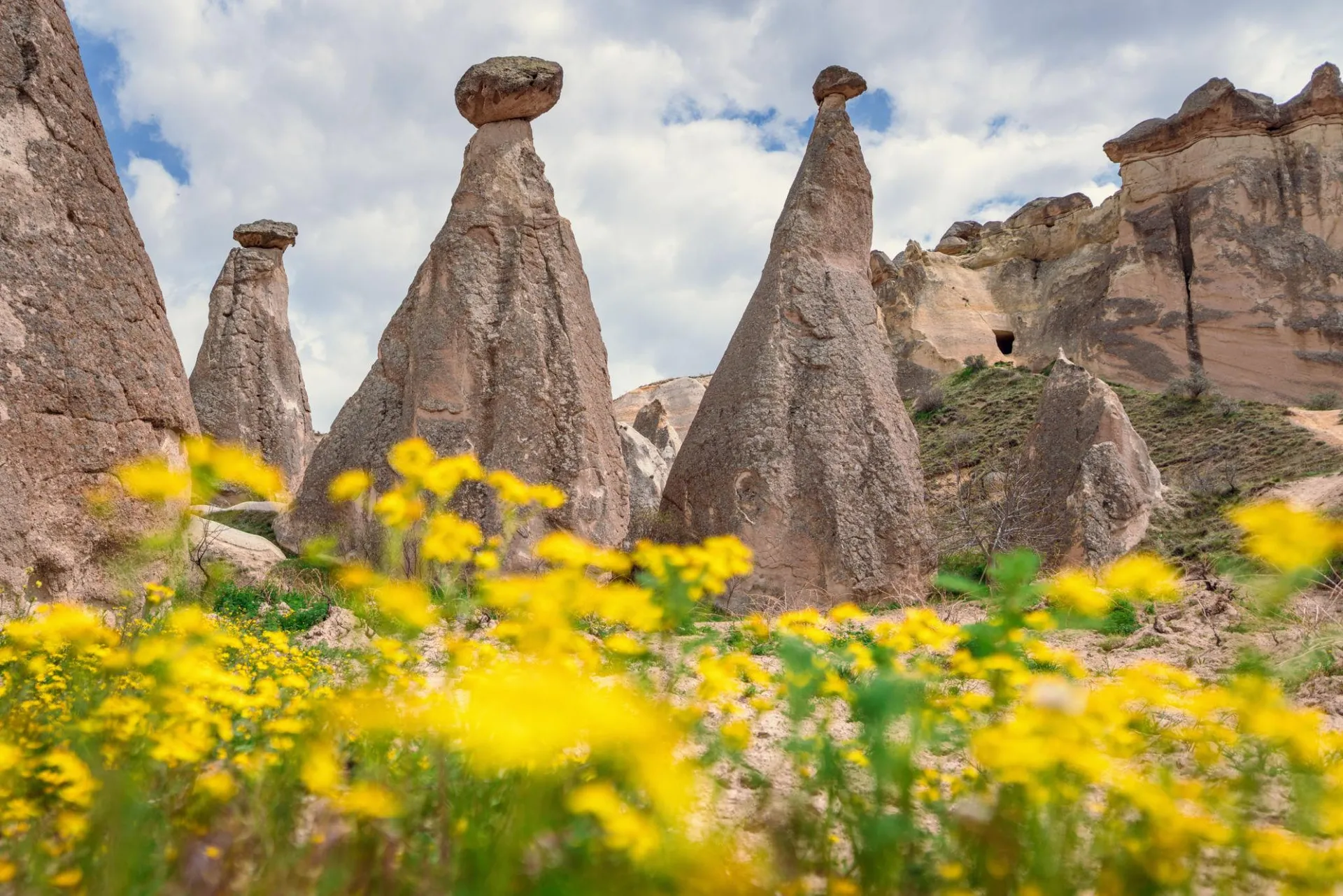 Anadolu Botanik Turu, Kapadokya Botanik Turu, Türkiye Botanik Turu, Cappadocia Botanical T