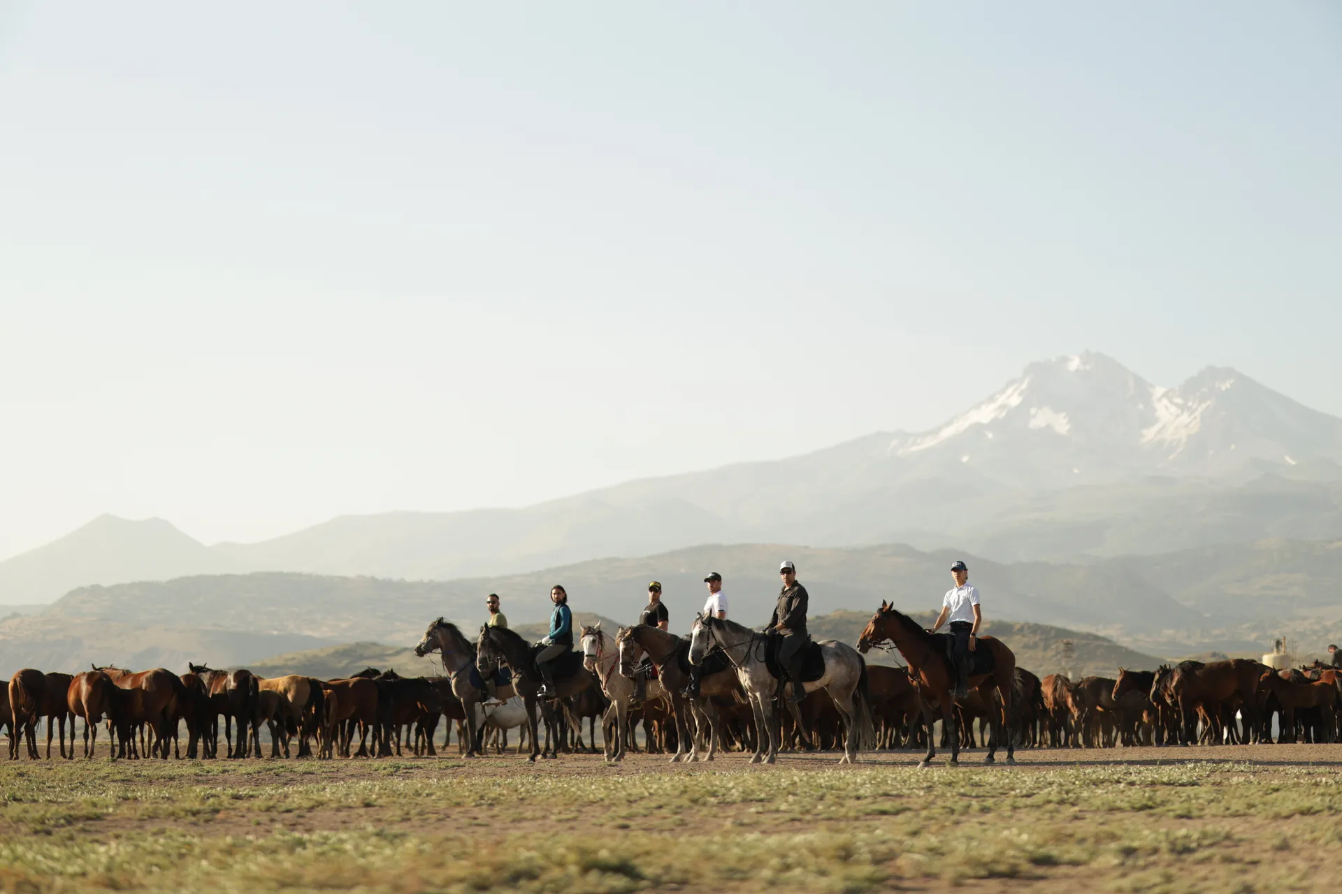 Kapadokya Yılkı Atları ile At Turu Safari 4Saat