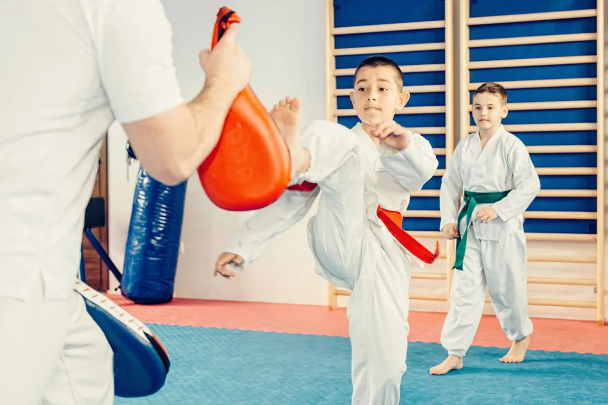 Erzincan Taekwondo Kursu