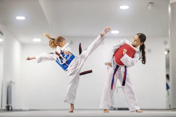 Karaman Taekwondo Kursu