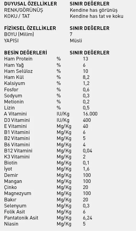 HORSE POWER JUMPİNG 20KG