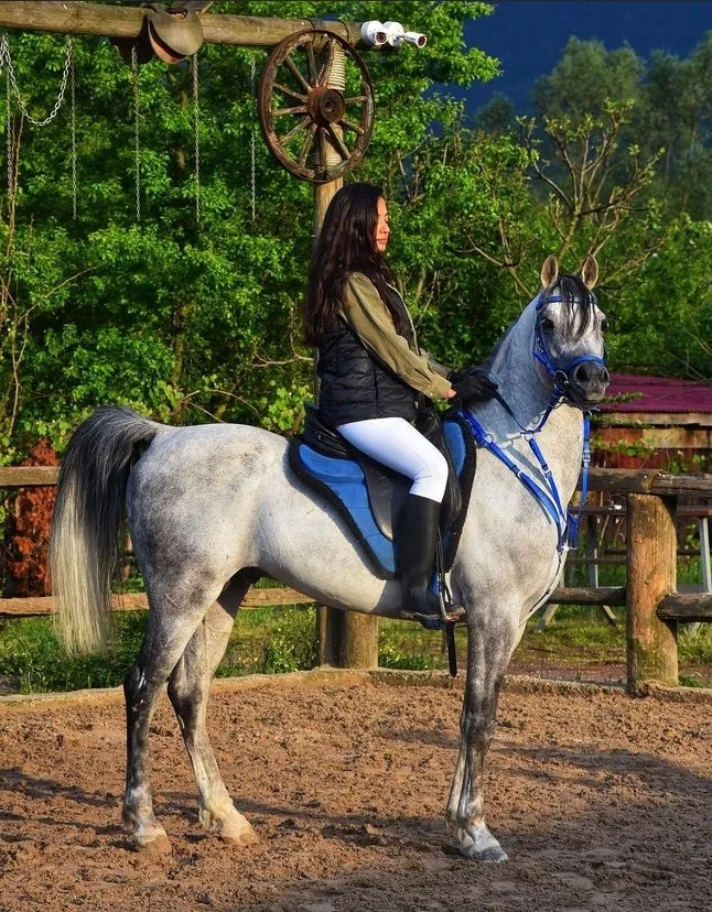 Kartepe Hızlandırılmış Binicilik Eğitimi Tatili