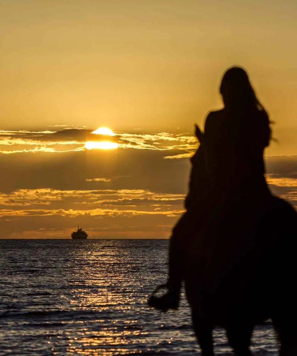 horse riding my life