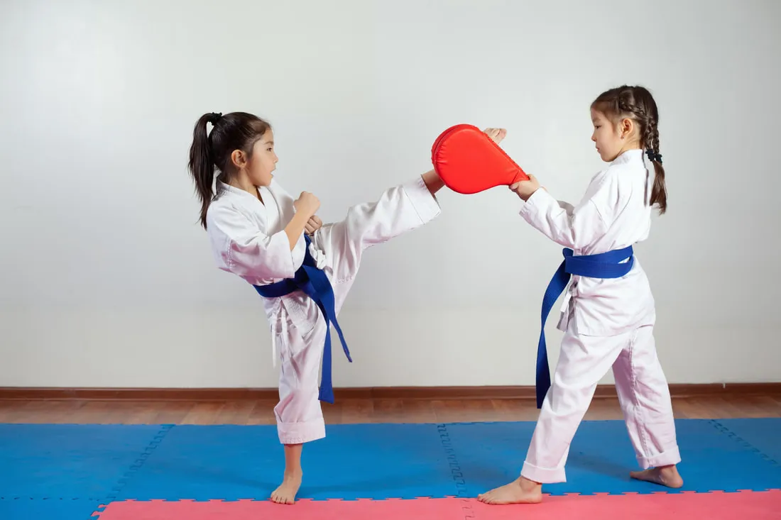 İzmit Taekwondo Kursu