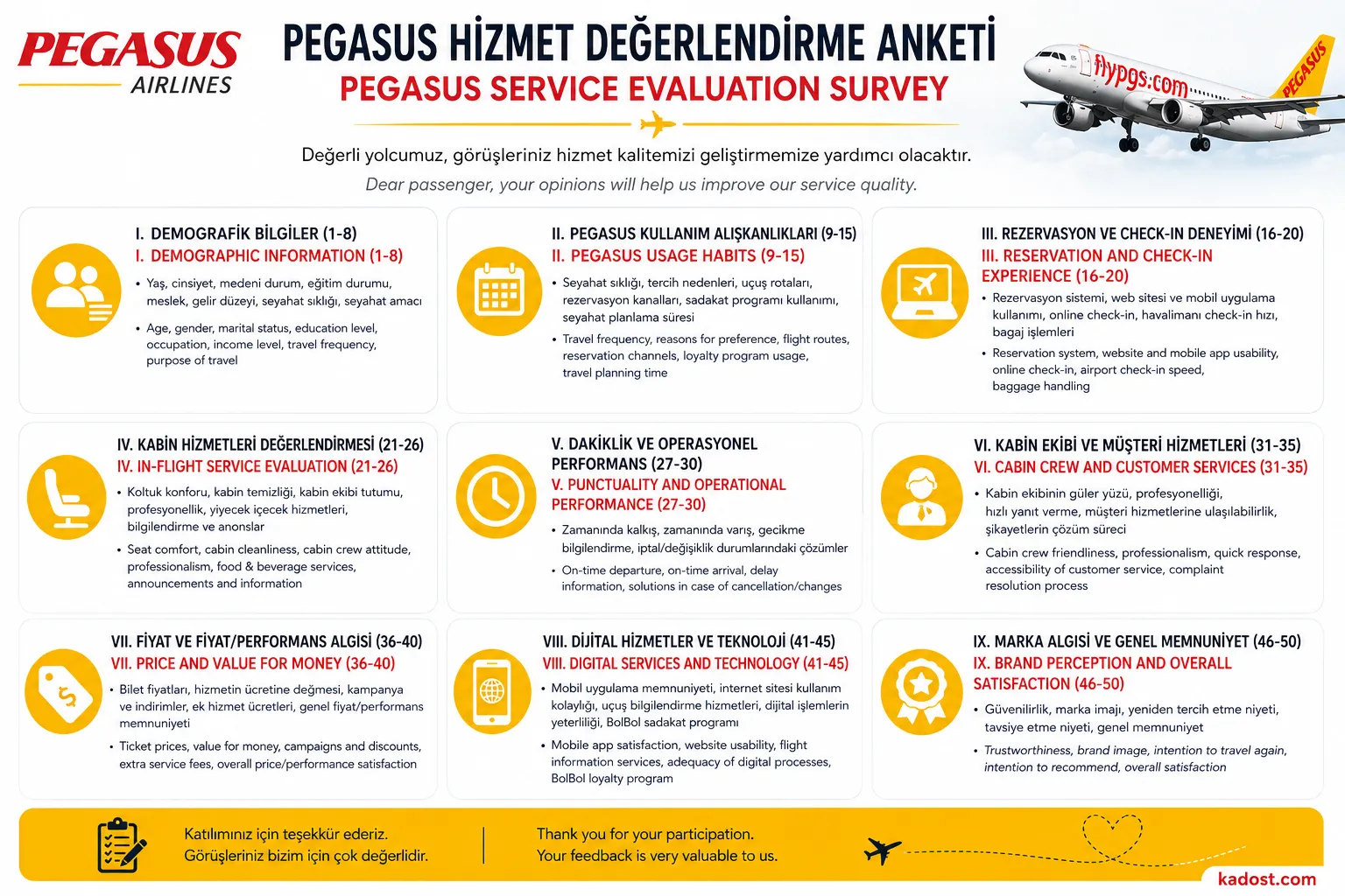 PEGASUS Değerlendirme Anketi 