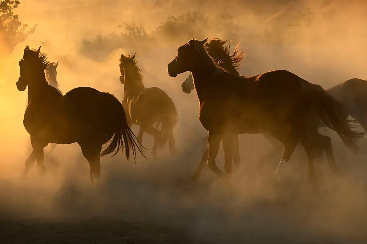 Kapadokya Fotoğrafçı Turu 3Gün