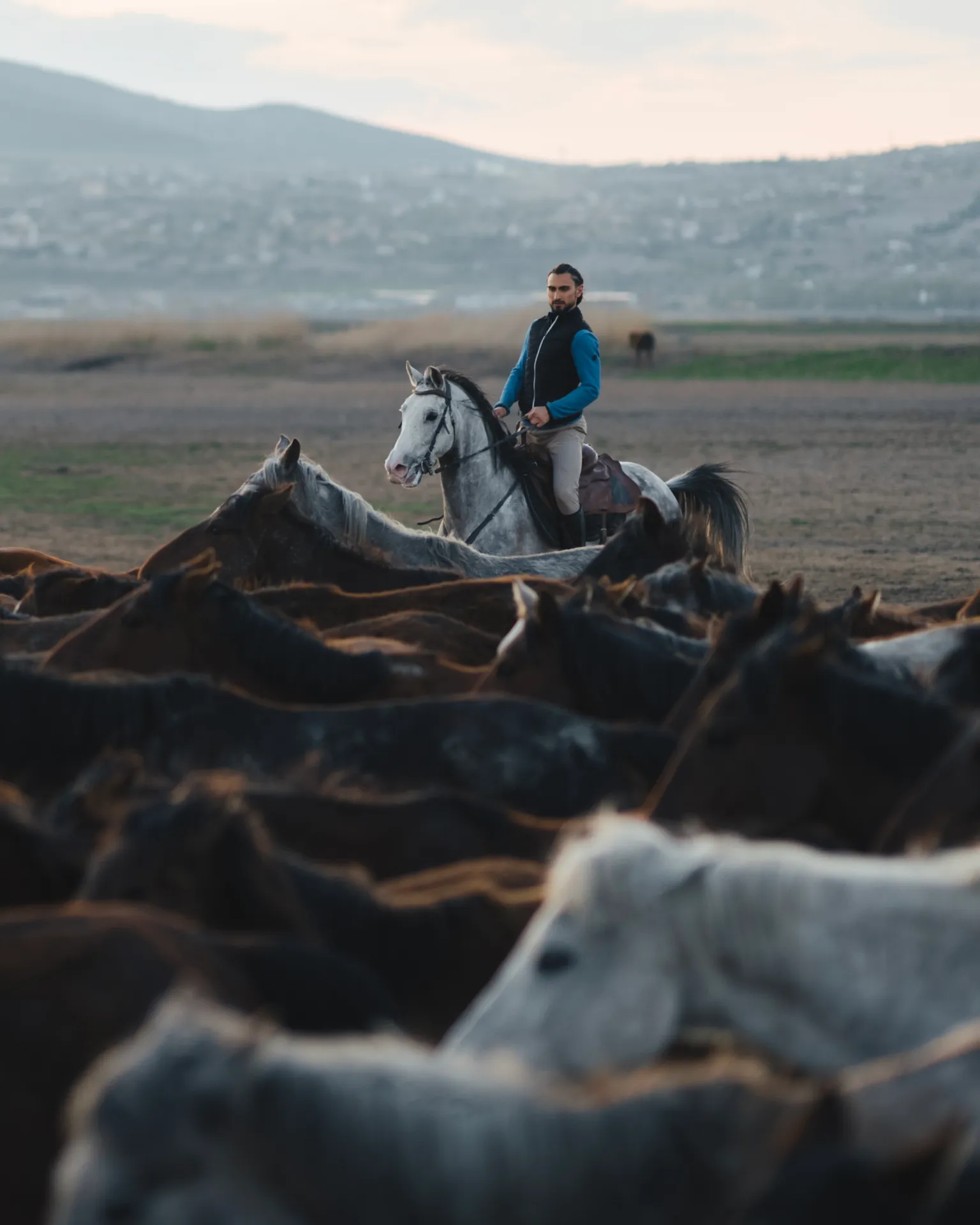 Kapadokya Yılkı Atları ile At Turu Safari 2Saat