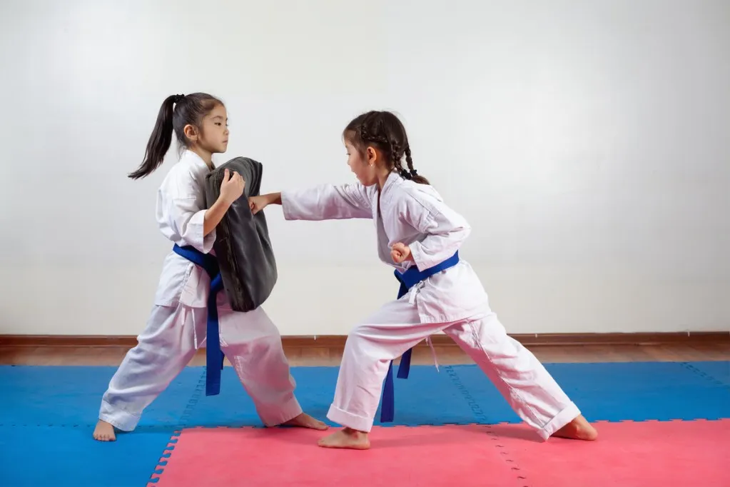 Muğla Taekwondo Kursu